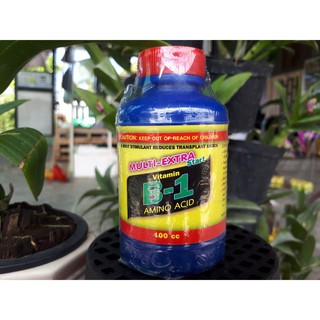 Vitamin B1 Thái Lan 100ml
