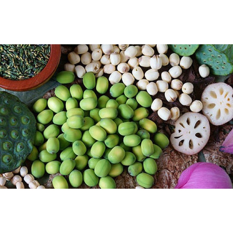 1 kg hạt sen tươi ngon giá sỉ