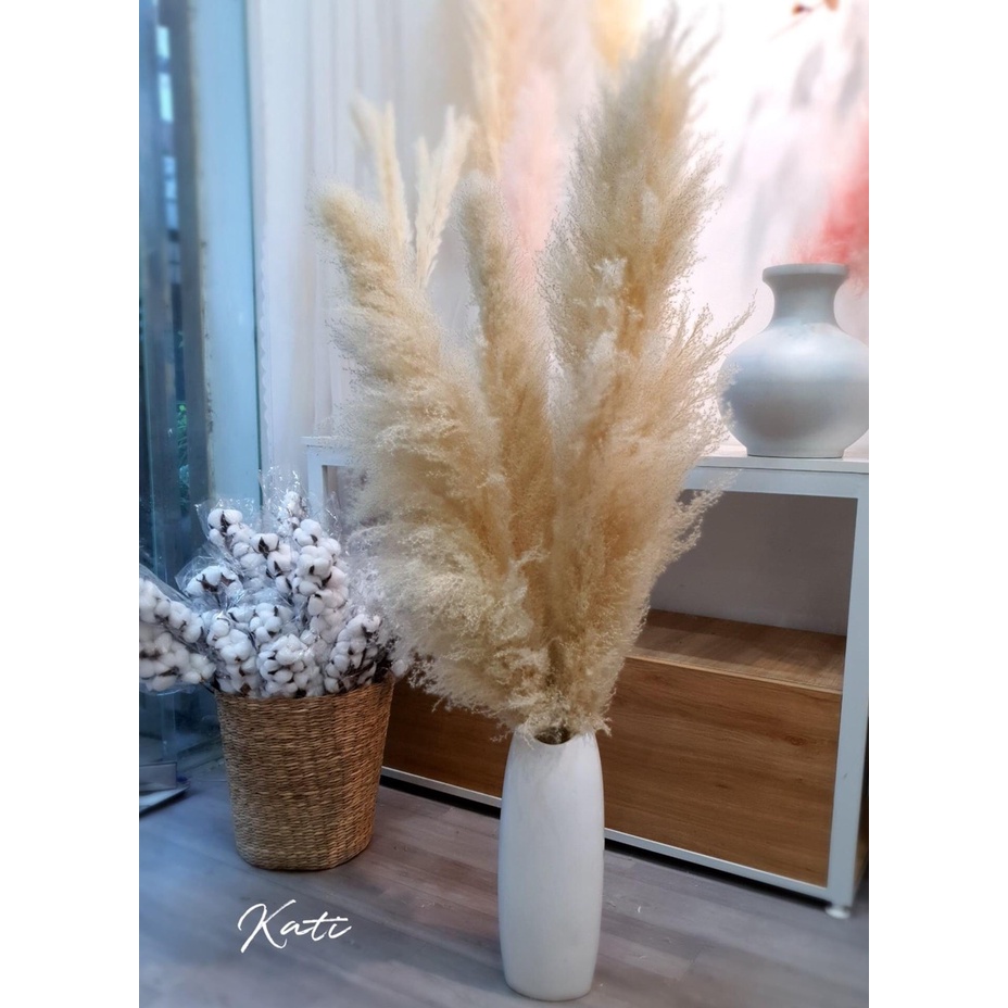 { loại lớn} Hoa trang trí cành lau decor nhà cửa, shop, lau xù màu tự nhiên 1 cành
