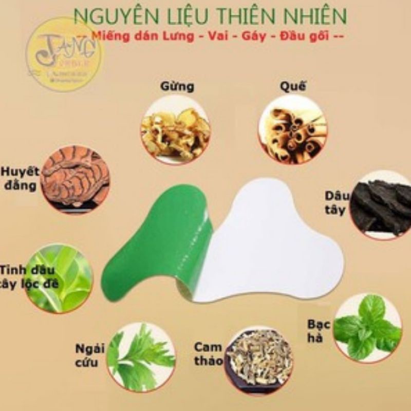 Miếng Dán Vai Gáy Tinh Chất Ngải Cứu Aicao Jingzhuitie Hộp 12 Miếng Dán