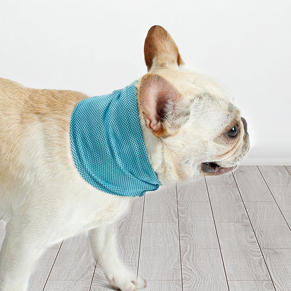 MIOSHOP Breathable Pet Cooling Bandana Summer Instant Cooling Dog Cooling Scarf Wrap Blue Durable Collar Ice Towels