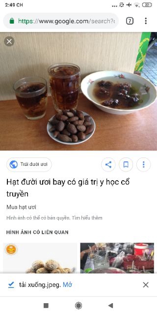 Hạt ươi bay, hạt đười ươi