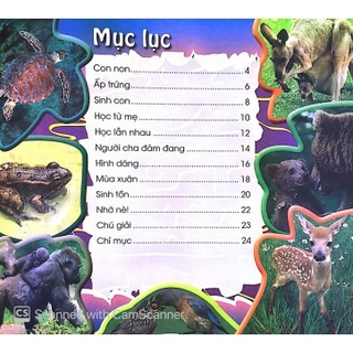 Sách - Độc, Lạ, Phi Thường - Thú Con Bé Bỏng