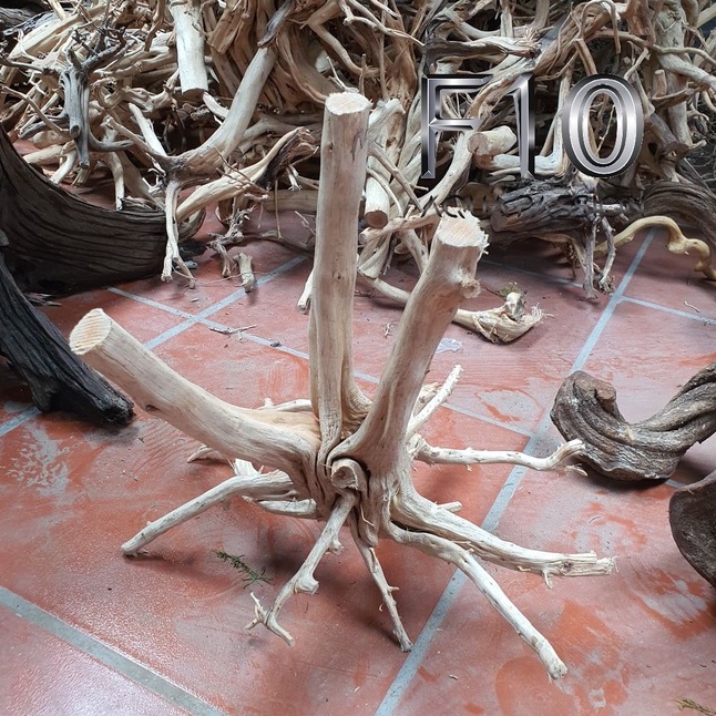 Lũa Hải Sa Quỳ 500G - Lũa Chuyên Setup Bể Thuỷ Sinh rất đẹp