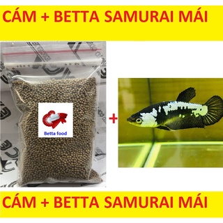 Cám betta 400g tặng betta samurai