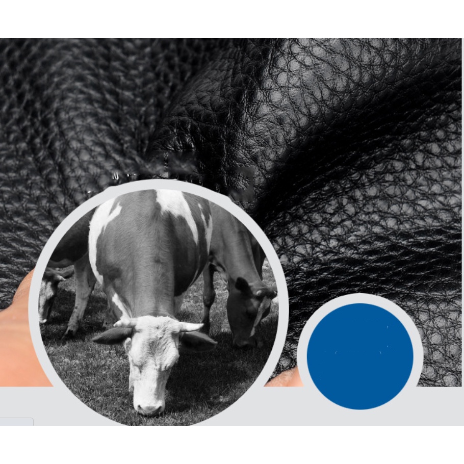 Ví nam da bò cao cấp phong cách mới