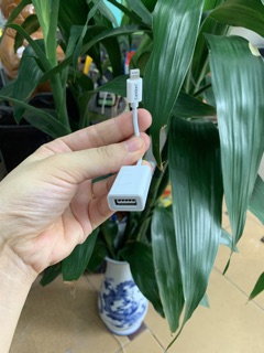 Jack chuyển đổi Lightning sang OTG + USB ( Hành chunhs hãng Earldom)