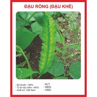 Hạt giống Đậu Rồng Đậu Khế 5Gram