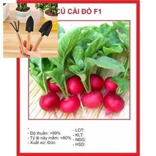 Hạt Giống Củ Cải Đỏ 5gram TẶNG BỘ LÀM VƯƠN MINI