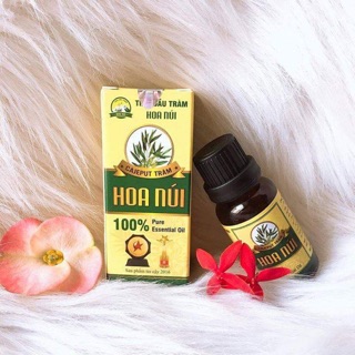 Combo 10 tinh dầu tràm hoa núi