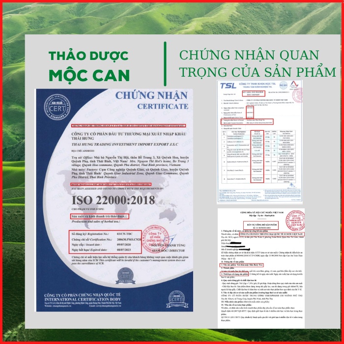 Trà Túi Lọc Cà Gai Leo Mộc Can giải độc mát gan thanh nhiệt giải độc cơ thể tăng cường sức khỏe 25 Túi | BigBuy360 - bigbuy360.vn