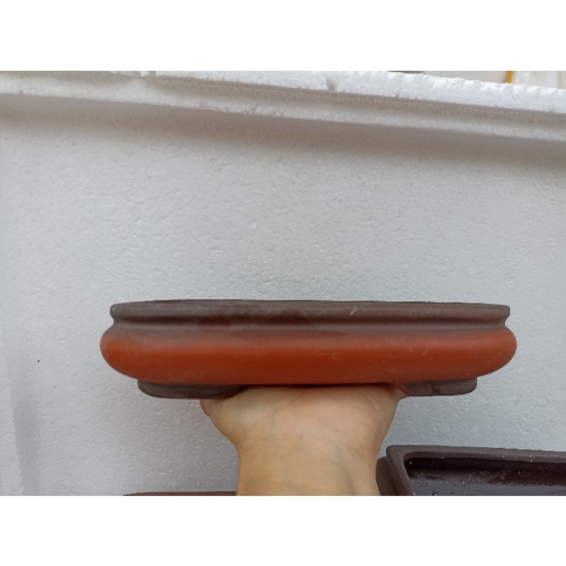 Combo 6 chậu chữ nhật cạn bonsai
