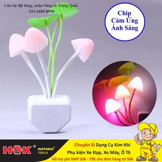 Đèn Ngủ Cảm Ứng Ánh Sáng Avatar - Bảo Hành 1 Tháng