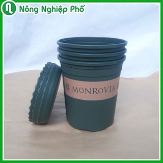 ẨN - CHẬU MONROVIA CHÍNH HÃNG SIZE 7 (MÀU XANH RÊU)