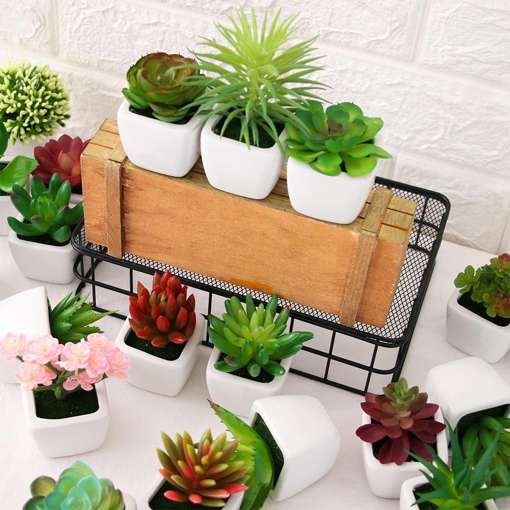 CONOPERY Chậu cây mọng nước giả mini trang trí nhà cửa/ văn phòng chất lượng cao