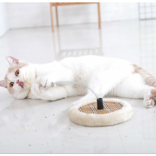 Đồ chơi cho mèo