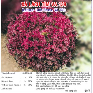 HẠT GIỐNG RAU XÀ LÁCH XOĂN TÍM GÓI 2 GRAM VIETASEEDS