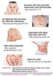 GỐI ĐẤT SÉT THẢO DƯỢC