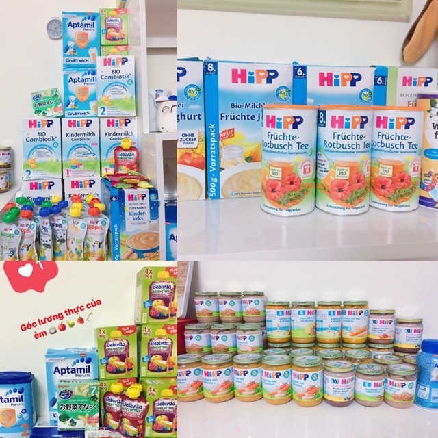 Sữa hipp 2+