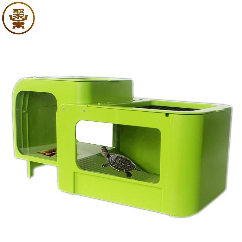 Bể chia rùa Bể rùa nhiều màu với sân thượng  Nuôi rùa thằn lằn nhện Bò sát