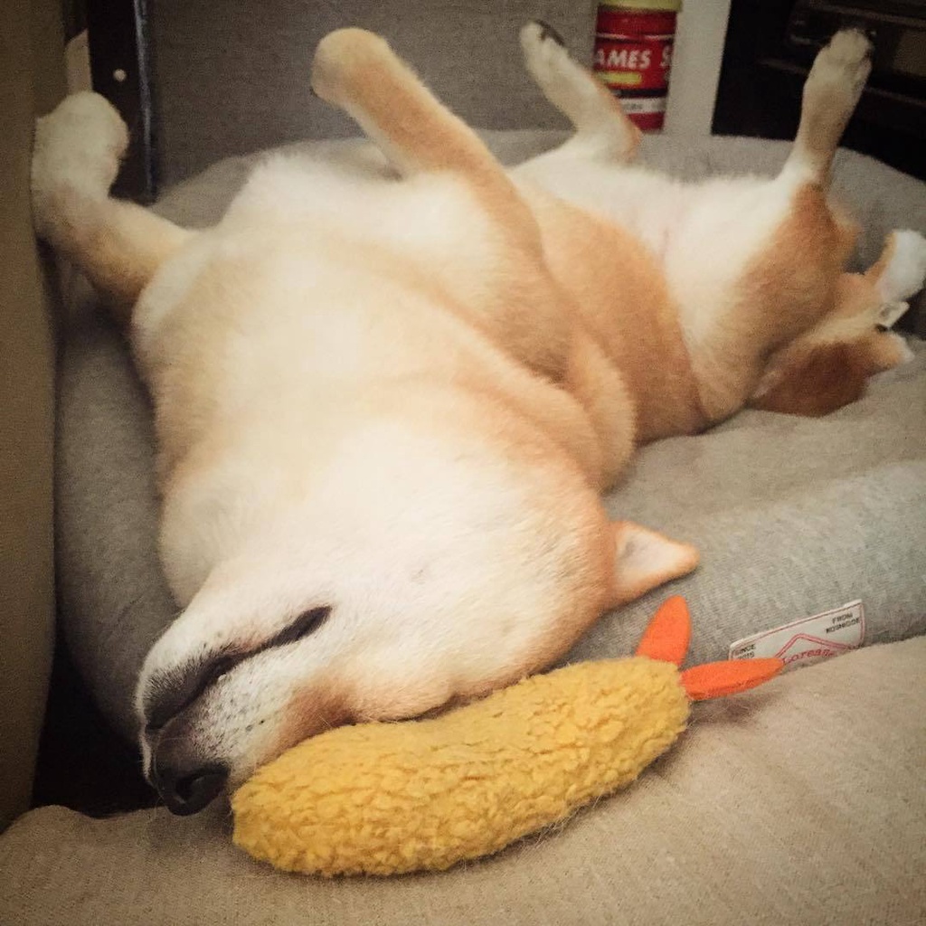 Đồ Chơi GặM HìNh Rau Củ Quả Cho Thú Cưng