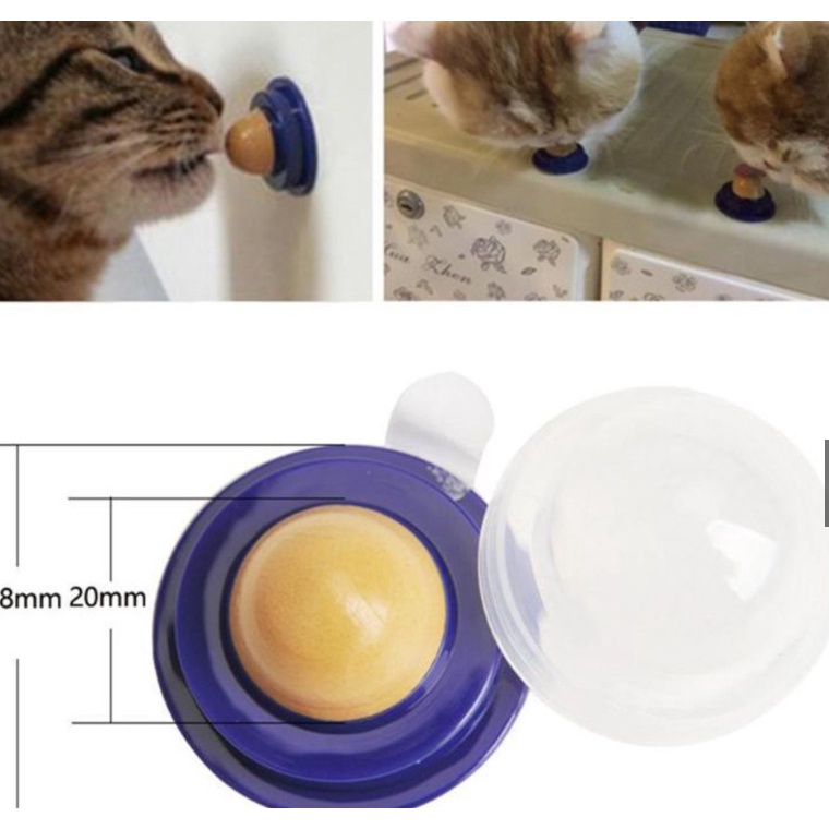 KẸO MÚT DÁN TƯỜNG / KẸO CỎ MÈO CATNIP tiêu búi lông, giải toả căng thẳng, Đồ chơi cho mèo canip