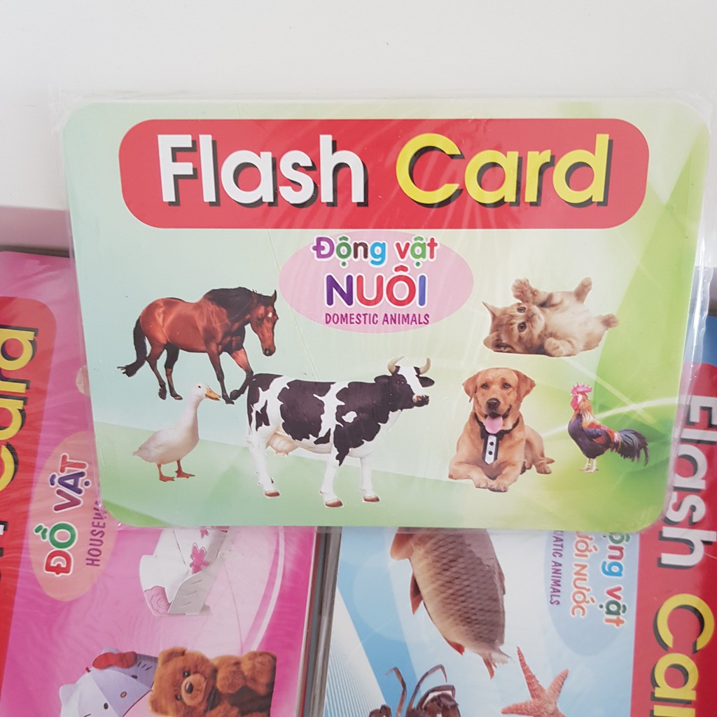 Thẻ học thông minh 19 chủ đề TGXQ mẫu mới nhất 290 thẻ KT 12x16cm