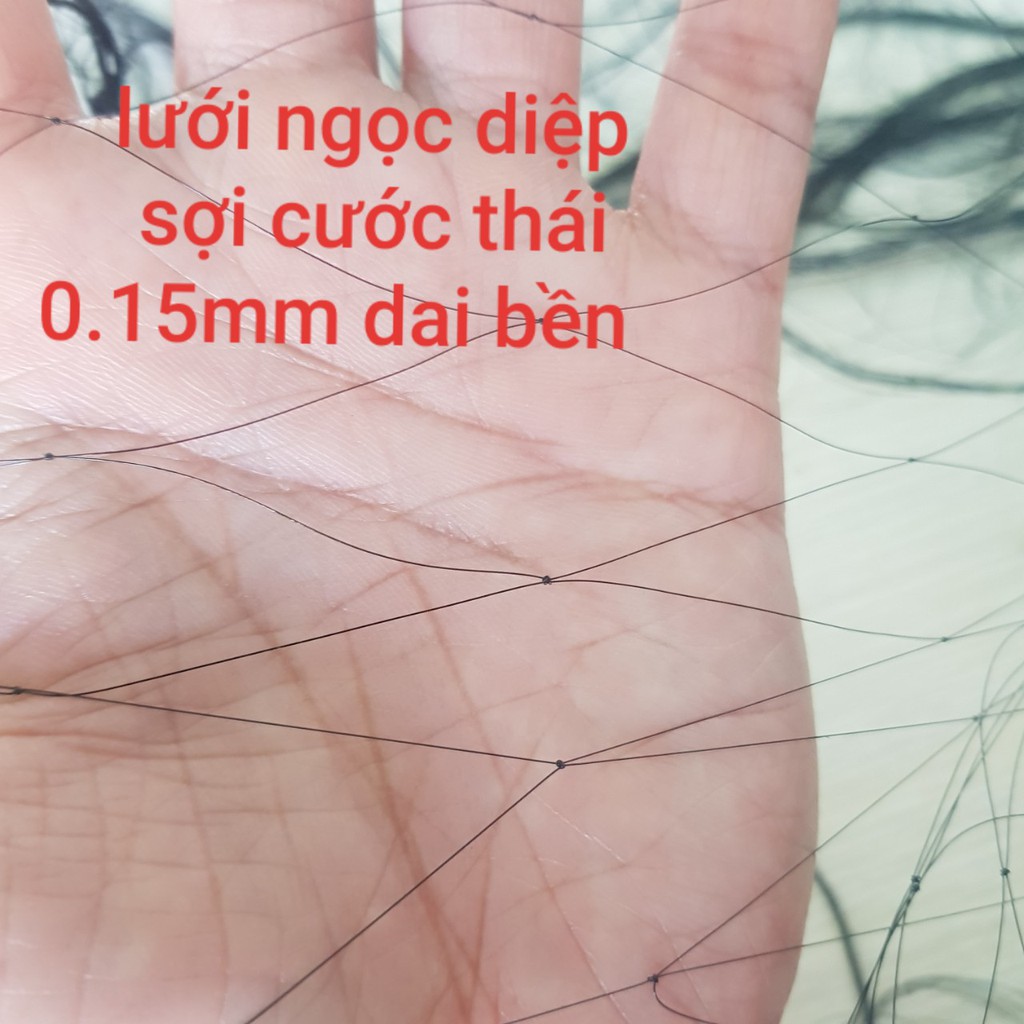 Lưới bẫy chim tàng hình thái lan 3 phân 30m, sợi lưới 0,15mm bẫy chim ri sẻ sắc ô chim an lúa