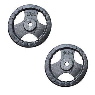 Bánh tạ gang 10kg
