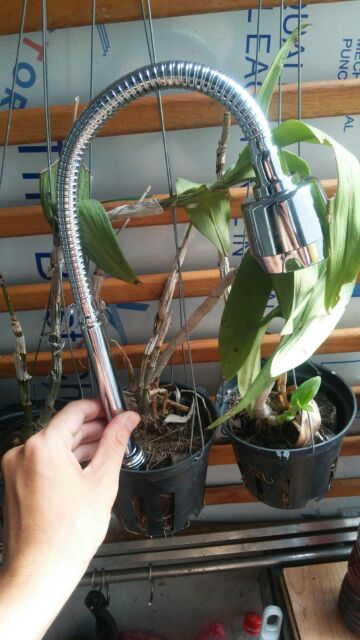 Cần mềm thay thế cho vòi rửa bát