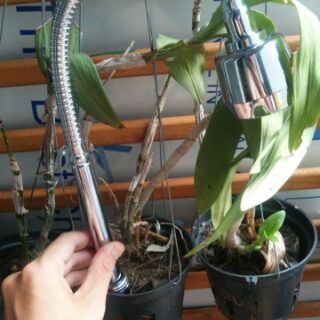 Cần mềm thay thế cho vòi rửa bát