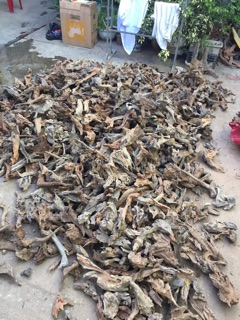 Lũa Thô Trang Trí Hồ Cá Thuỷ Sinh Phong Cách Nature- 59k/kg