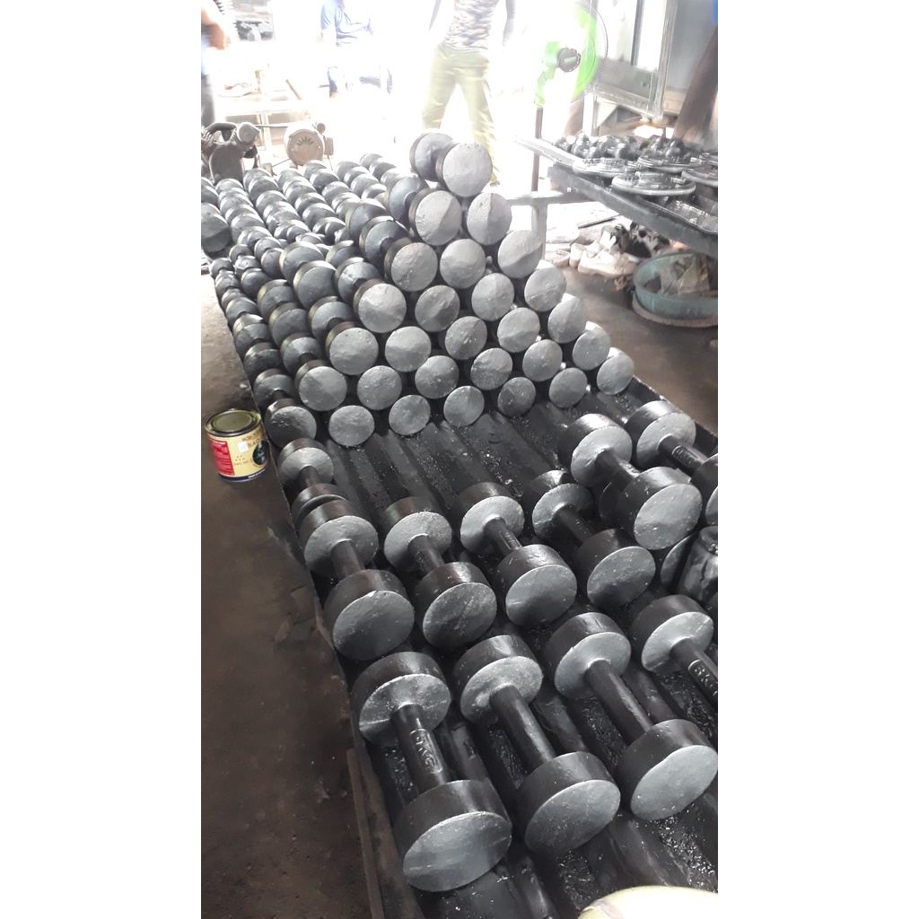 Cặp Tạ Tay Gang Đúc Nguyên Khối 8kg