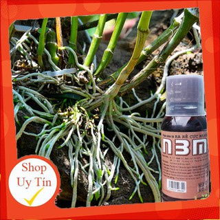 - N3M Pro Siêu Ra Rễ Cực Mạnh 100ml chất lượng.
