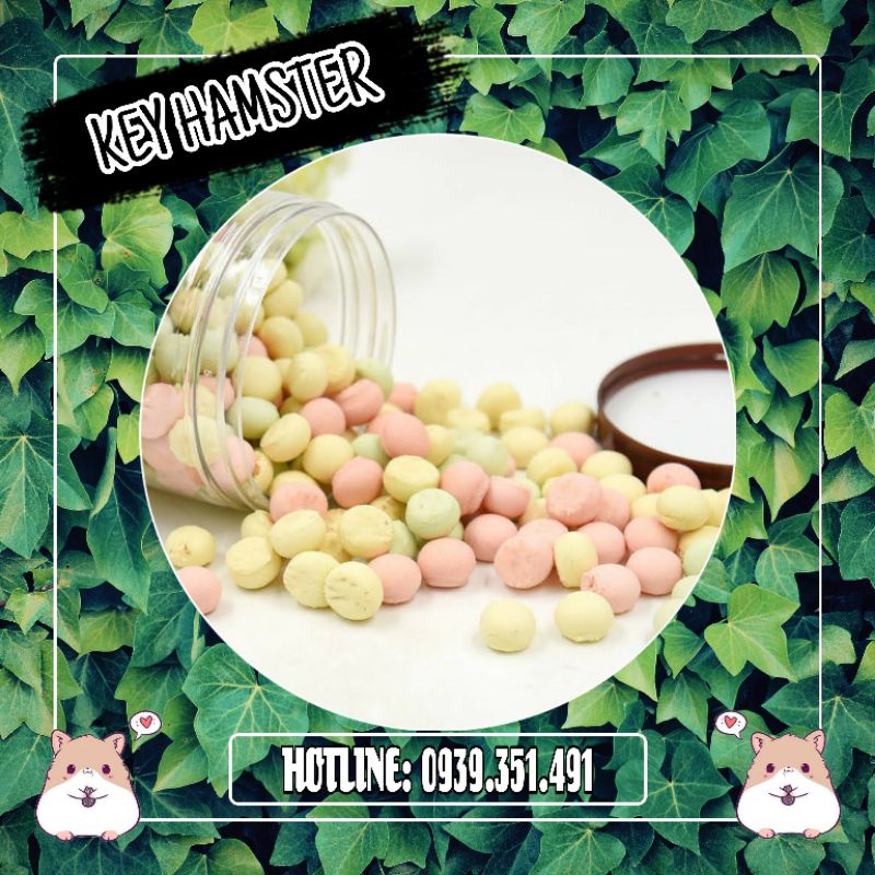 Bánh sữa - Kích thích vị giác hamster.