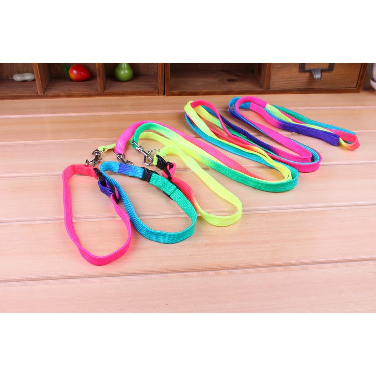 Dây dắt 7 màu kèm vòng cổ cho chó mèo siêu cute