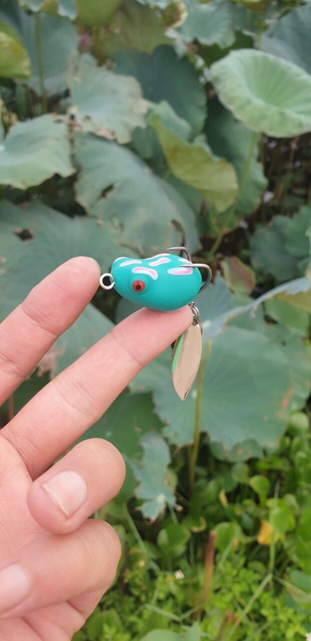 Mồi nhái hơi 2 thìa lạ và nhạy đã cập bến