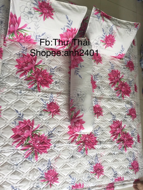 Ga gối cotton Thắng Lợi đủ size 1M đến M8 nt chọn nhiều màu