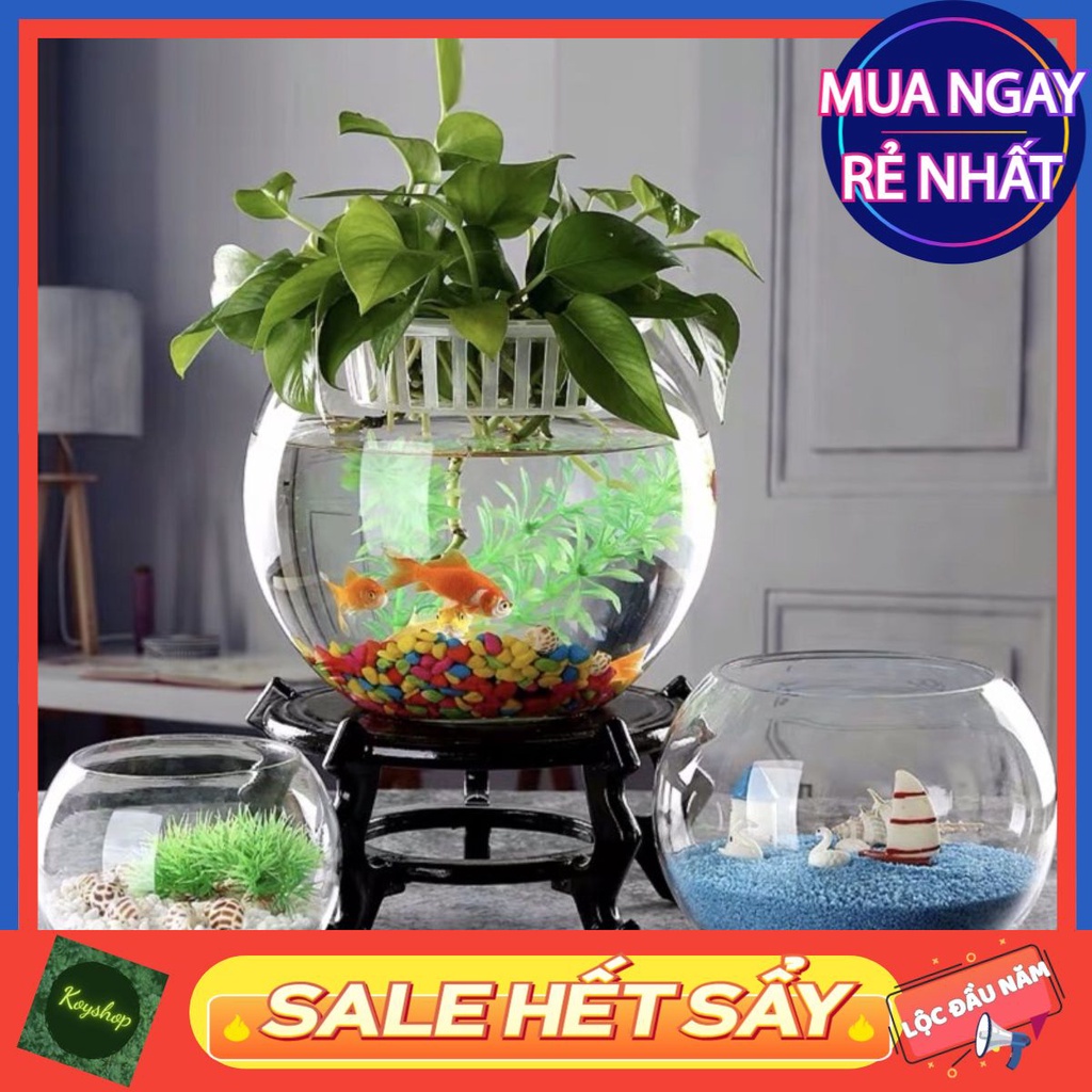 Bể Cá Tròn Để Bàn Phù Hợp Văn Phòng, Bàn Làm Việc | Bể Hình Tròn Setup Terrarium Nụ Store