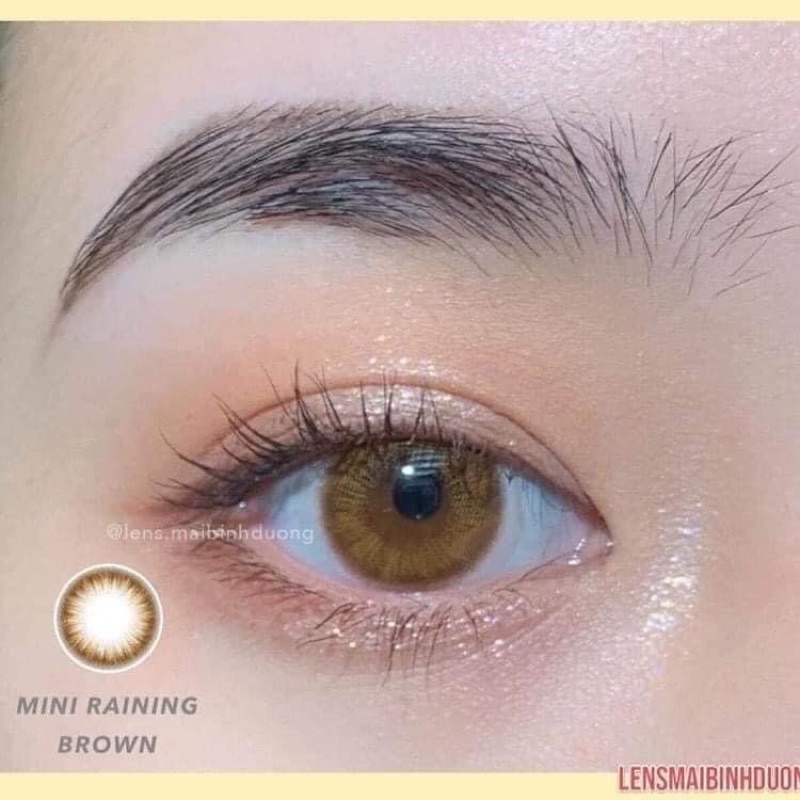 Lens Mini Raining Gray / Brown - tặng kèm khay gương khi mua
