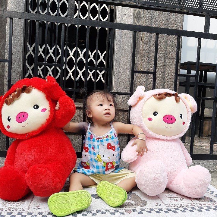 HEO BABY NHỒI BÔNG 35CM