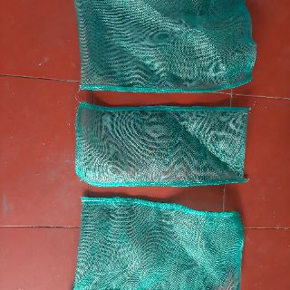Túi đựng sâu canxi , ruồi lính đen , dế