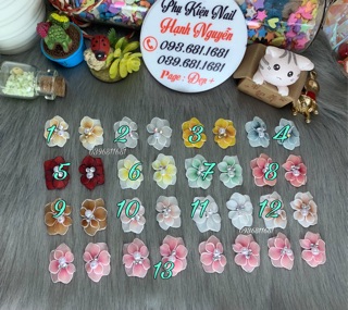 Set 2 bông Hoa bột ôm móng nail