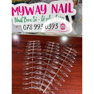 móng úp Nailtips From Bầu