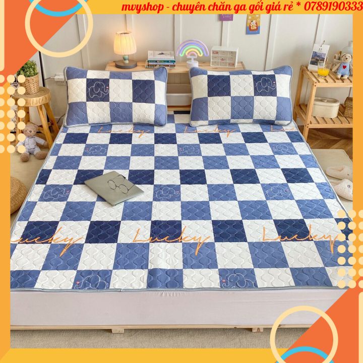 Chiếu điều hoà cao su non chống thấm cao cấp, chiếu điều hoà thông minh chống thấm thoáng mát dành cho mùa hè