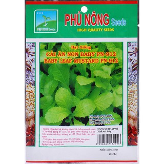 20g hạt giống cải bẹ ăn non baby pn-912, năng suất cao