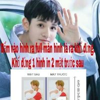 COMBO BÌA BAO VỞ