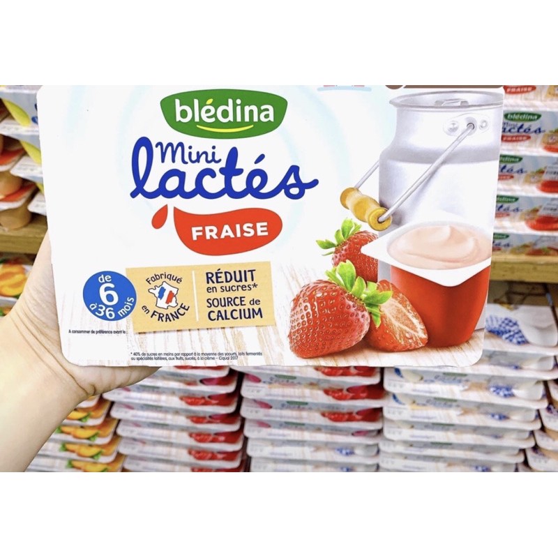 [HSD - Date 03/2024)SỮA CHUA BLEDINA pháp vỉ 6h x 55g