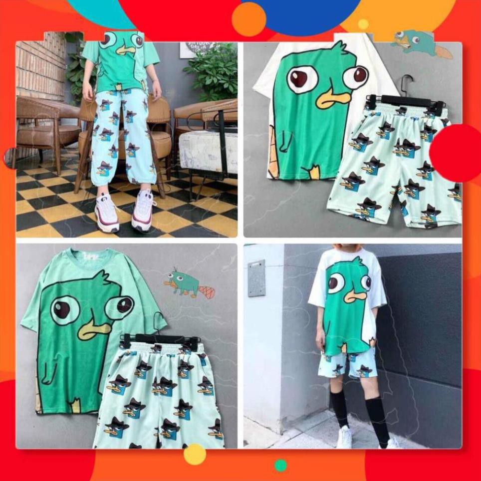 Set bộ đùi hoạt hình thú mỏ vịt UNISEX quần cartoon kèm áo thun tay lỡ siêu xinh kèm ảnh/video thật siêu đẹp