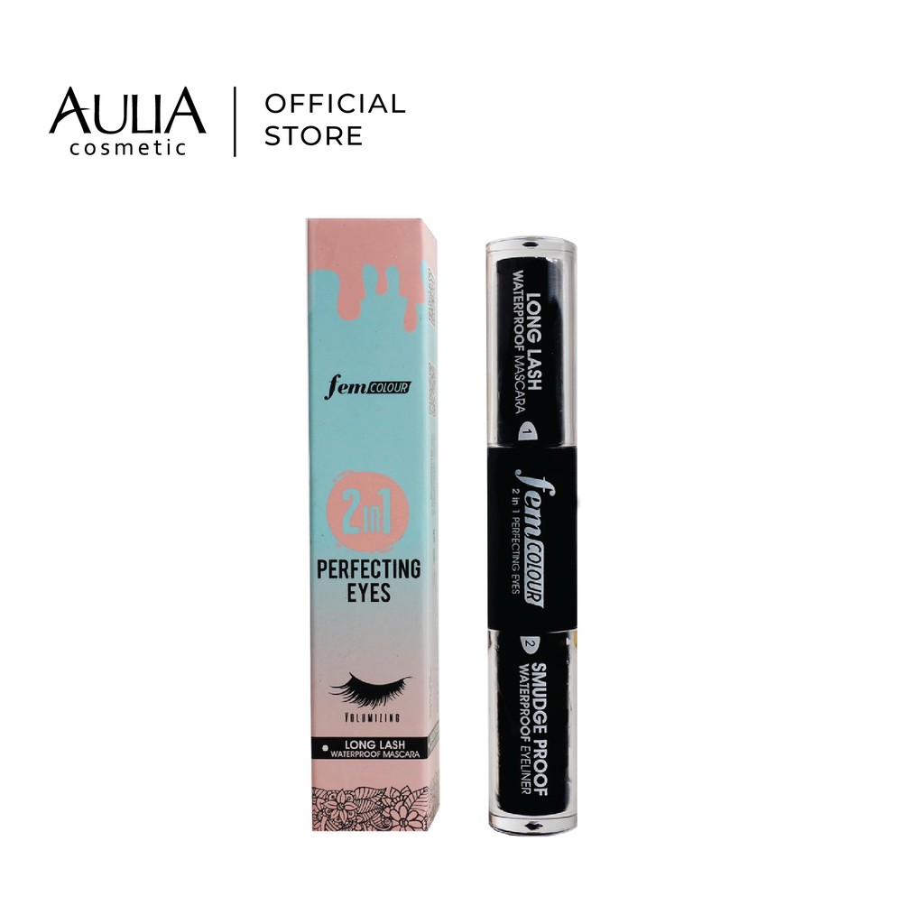 (Hàng Mới Về) Bảng Phấn Mắt Fem 2 Trong 1 Màu Sắc Hoàn Hảo